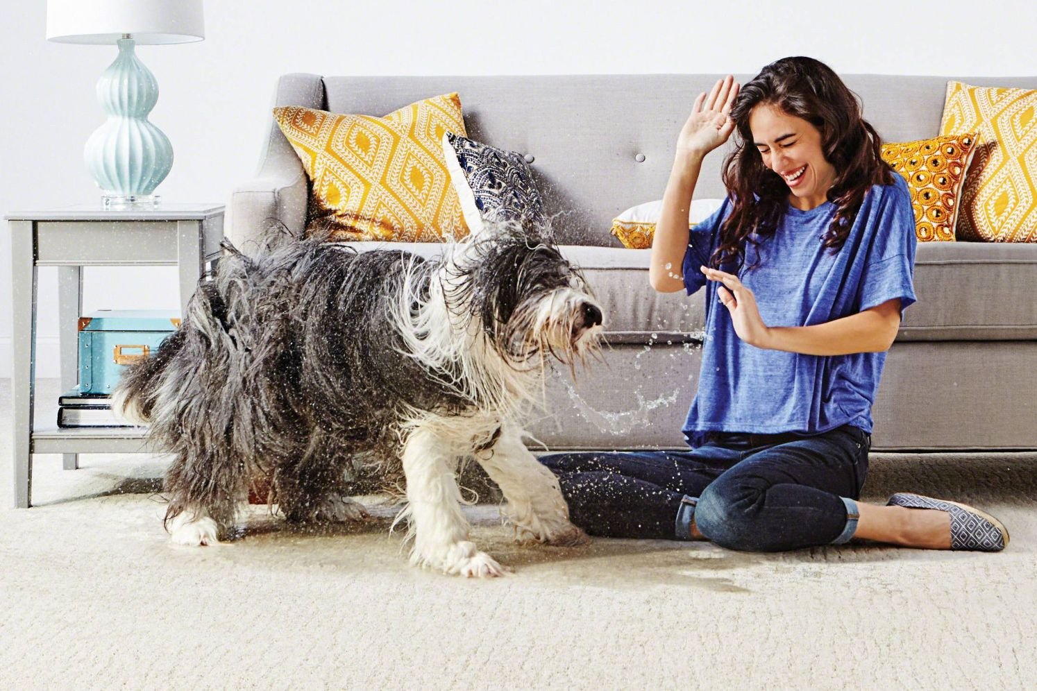 dog in living room